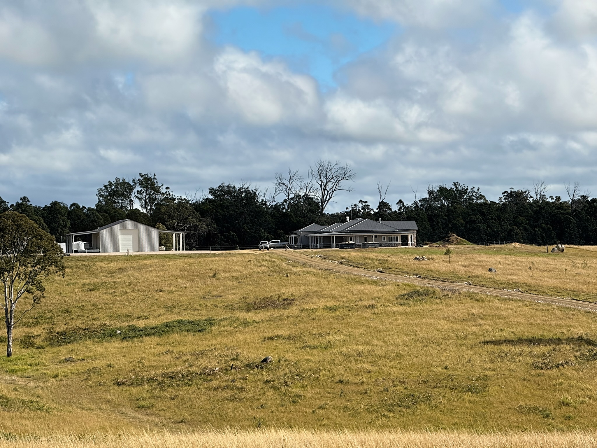 Tungi — photo 62